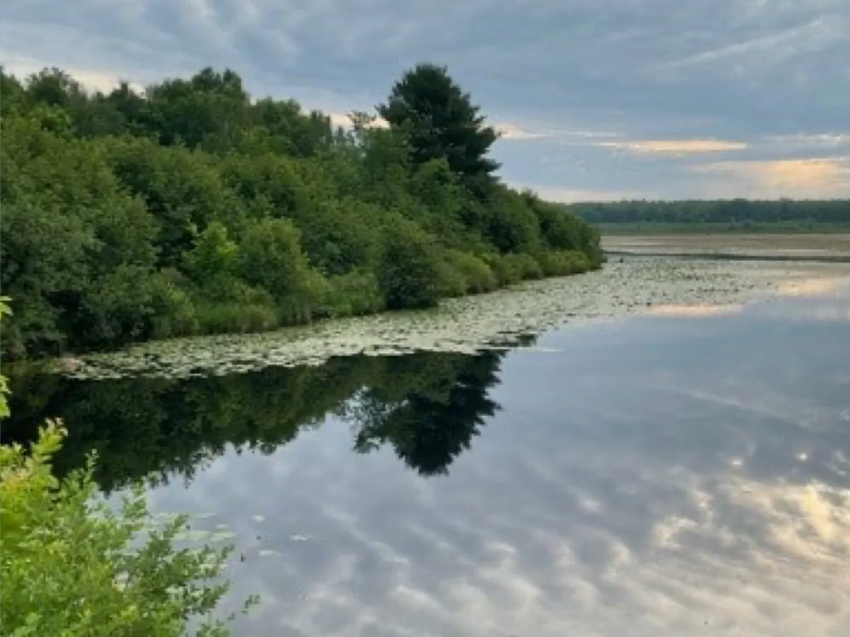 Calm lake reflecting a cloudy sky, edged by lily pads and a wooded shoreline, Finnell Lake Property on Hogsback Road, Exeland, Wisconsin